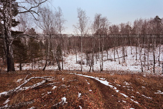 В Барсучьем логу наступает Зима. Заводоуковские окрестности. Стоковое фото, фотограф Анатолий Матвейчук / Фотобанк Лори