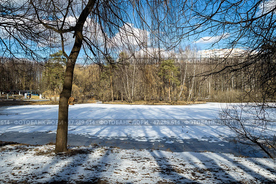 В солнечный весенний день на городском пруду тает лед. Стоковое фото, фотограф Андрей Иванов / Фотобанк Лори