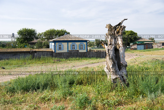 В станице Еланской Ростовской области. Стоковое фото, фотограф Борис Панасюк / Фотобанк Лори