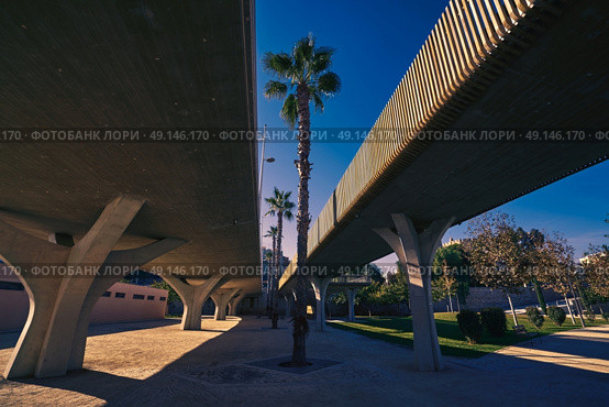 Valencia Pont de fusta bridge de Madera low angle view in Turia gardens park. Стоковое фото, агентство Ingram Publishing / Фотобанк Лори