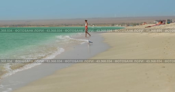 Вдалеке одинокая чайка гуляет по берегу моря с водой изумрудного цвета, на заднем плане пенится и отступает волна, девушка входит в воду, в замедленной съемке (2020 год). Редакционное видео, видеограф Валуйских Владимир / Фотобанк Лори