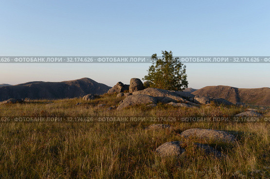 Вечер в горах Алтая у реки Чарыш. Стоковое фото, фотограф Free Wind / Фотобанк Лори