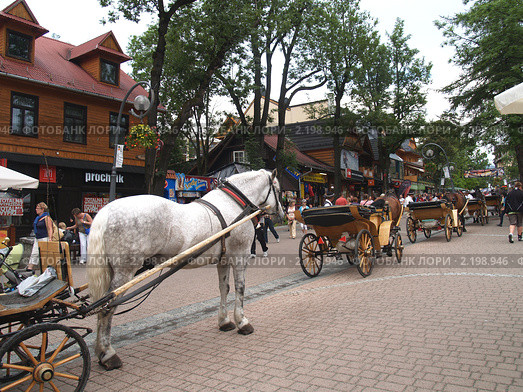 Вереница конных повозок  в Закопане (2010 год). Редакционное фото, фотограф Ирина Борсученко / Фотобанк Лори