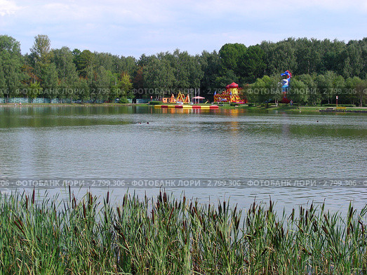 Верхний Путяевский пруд на территории парка Сокольники. Москва (2011 год). Стоковое фото, фотограф lana1501 / Фотобанк Лори