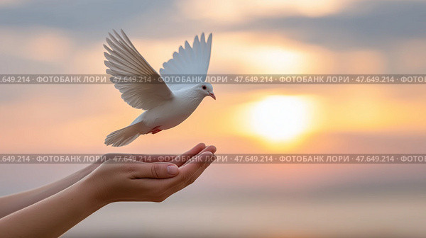Versa hands set a pigeon free at sunset against a colorful sky. Руки  отпускают  голубя на закате на фоне красочного неба. Стоковое AI-изображение, AI-художник Katsiaryna Repich / Фотобанк Лори