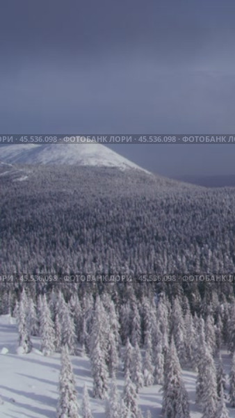 Vertical video: An epic aerial view of snow-covered mountain ranges and valleys. A winter mountain landscape. Вертикальное видео: эпичный вид с воздуха на горные хребты и долины, покрытые снегом. Зимний горный пейзаж. Редакционное видео, видеограф Валерий Тесаков / Фотобанк Лори