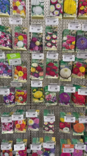 Vertical video of packages of garden flower seeds assortment showcase with price tags in Russian in supermarket. Flower seedling growing spring season. Editorial use. 17 January, 2025, Angarsk, Russia. Редакционное видео, видеограф Виктория Катьянова / Фотобанк Лори