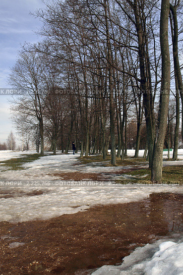 Весенний парк (2010 год). Стоковое фото, фотограф Самойлова Екатерина / Фотобанк Лори