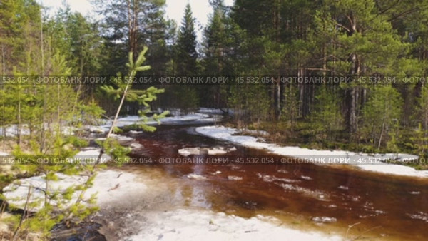 Весенняя лесная река. Стоковое видео, видеограф Денис Логиновский / Фотобанк Лори