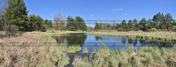 Весенняя панорама национального парка "Мещерский" Стоковое фото, фотограф Сергей Дрозд / Фотобанк Лори