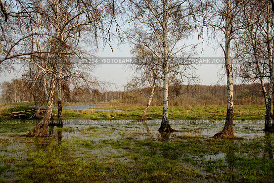 Весна. Разлив. Стоковое фото, фотограф Виктор Ковалев / Фотобанк Лори