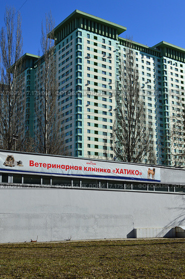 Ветеринарная клиника Хатико. Авиационная улица, 70, корпус 1. Москва (2015 год). Редакционное фото, фотограф lana1501 / Фотобанк Лори