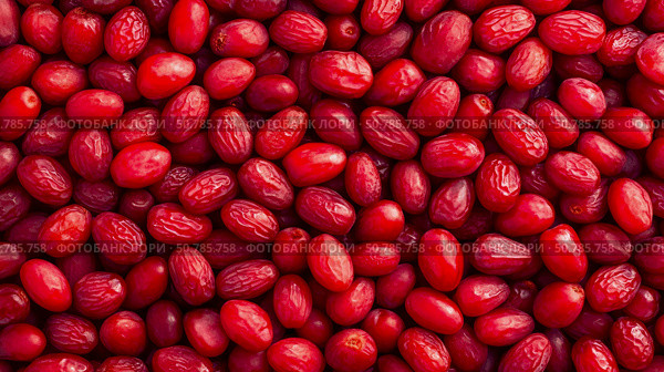 Vibrant Abundance of Ripe Red Cornelian Cherries: A close-up top-down view. Food and health concept for print. Стоковое AI-изображение, AI-художник Данила Большаков / Фотобанк Лори