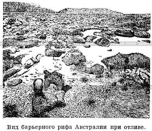 Вид барьерного рифа Австралии при отливе. Коралловые острова. Стоковая иллюстрация, иллюстратор Макаров Алексей / Фотобанк Лори