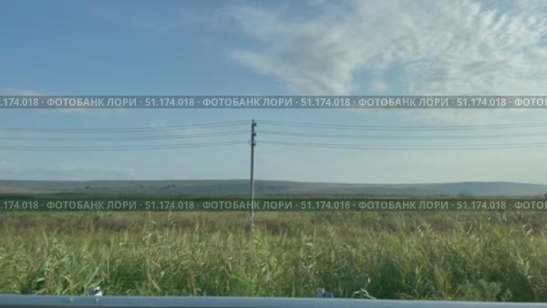 Вид из окна движущегося легкового автомобиля. Летний пейзаж, степь, поля, опоры ЛЭП. Трасса А-289, новое направление, Темрюкский район, Краснодарский край, Россия. Стоковое видео, видеограф Щеголева Ольга / Фотобанк Лори