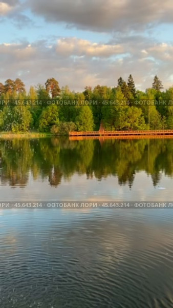 Вид на вечерний Барский пруд усадьбы Гребнево (2024 год). Редакционное видео, видеограф Владимир Шипикин / Фотобанк Лори