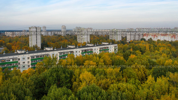 Вид с воздуха на жилые дома в московском районе Лианозово со стороны Линозовского парка летним вечером на закате. Дома расположены среди густой зелени и желтых деревьев (2021 год). Стоковое фото, фотограф Pukhov K / Фотобанк Лори