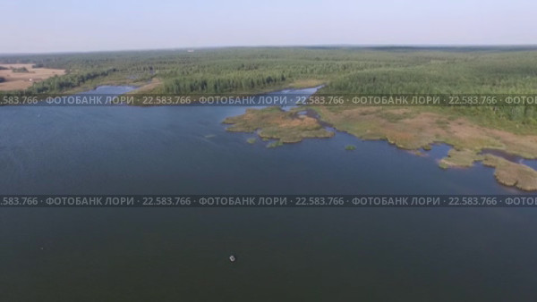 Вид сверху на озеро и лес. Стоковое видео, видеограф Бубнов Дмитрий / Фотобанк Лори