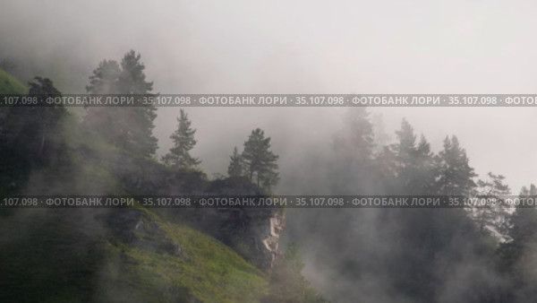 Video of fast moving fog wisps of fog in the mountains near the Altai village of Manzherok. Altai, Russia (2020 год). Стоковое видео, видеограф Сергей Пристяжнюк (Serg Zastavkin) / Фотобанк Лори
