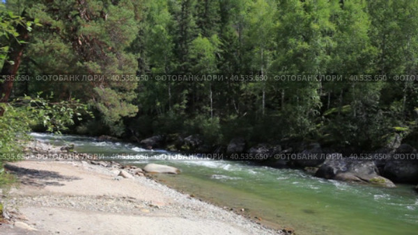 Video of summer landscape with fast river on hillside with sandy beach, clear blue water and green forest along banks on sunny day. Ehe-Ukhgun River, Nilovka, Tunka foothill valley, Buryatia. Стоковое видео, видеограф Виктория Катьянова / Фотобанк Лори