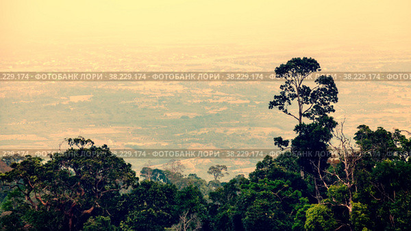View from Phnom Bokor mountain to city Kampot in Cambodia with plants and trees in foreground and fog above clouds. Many French houses in center. Large background space for an inscription or logo. Стоковое фото, фотограф Aleksandr Golubev / Фотобанк Лори