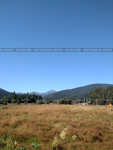 View of Hoverla Mountain in the Carpathians from the countryside grows green grass and a design for drying grass vertical. Стоковое фото, агентство Ingram Publishing / Фотобанк Лори