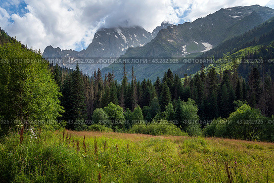 View of Kosygin's glade (Buulu Tala) in the Gonachkhir gorge and the top of Dombai-Ulgen mountain near Dombai ski resort on a sunny summer day, Karachay-Cherkessia, Russia. Стоковое фото, фотограф Ula Ulachka / Фотобанк Лори