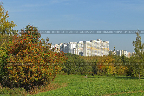 View of Mitino Nature-Landscape Park on autumn sunny day. Moscow, Russia (2023 год). Стоковое фото, фотограф Валерия Попова / Фотобанк Лори