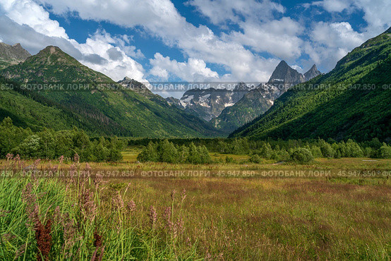 View of the floodplain of the Gonachkhir River in the northern foothills of the Caucasus Mountains near the village of Dombay on a sunny summer day, Karachay-Cherkessia, Russia. Стоковое фото, фотограф Ula Ulachka / Фотобанк Лори