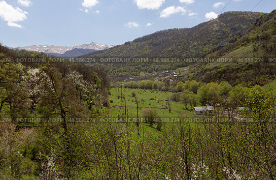 View of the mountains in Armenia. Tavush region. Стоковое фото, фотограф Evgenia Shevardina / Фотобанк Лори