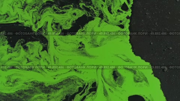 Vivid green patterns and dynamic slime movement over black canvas. Стоковое AI-видео, аниматор Владимир Федоров / Фотобанк Лори