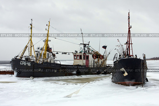 Во льдах (2009 год). Редакционное фото, фотограф Литвяк Игорь / Фотобанк Лори