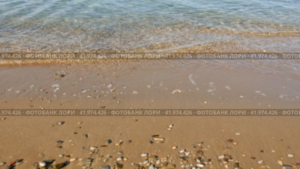 Волны у кромки воды на песчаном пляже. Стоковое видео, видеограф Садовский Анатолий / Фотобанк Лори