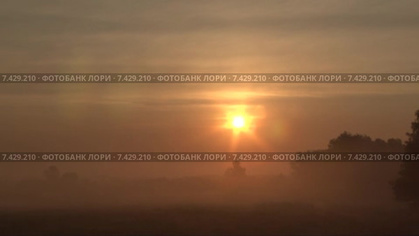 Восход над полем, много тумана. Timelapse. Скорость х128. Стоковое видео, видеограф Mike The / Фотобанк Лори
