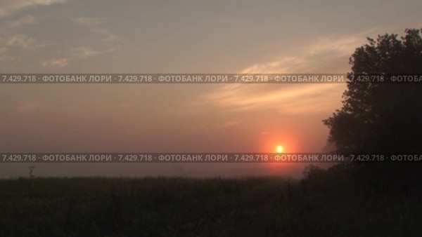 Восход над полем, много тумана. Timelapse. Скорость х256. Стоковое видео, видеограф Mike The / Фотобанк Лори