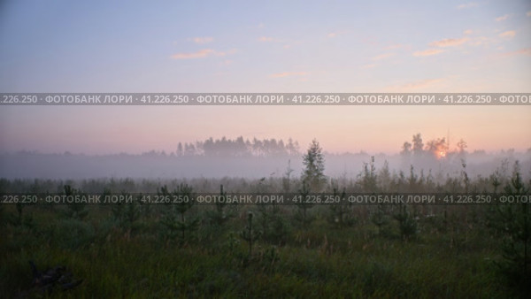 Восход солнца в тумане. Стоковое видео, видеограф Mixail59 / Фотобанк Лори