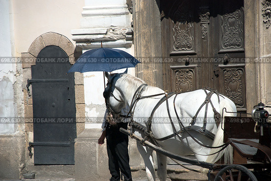 Возница заботящийся о своей лошади (2008 год). Стоковое фото, фотограф Pukhov K / Фотобанк Лори