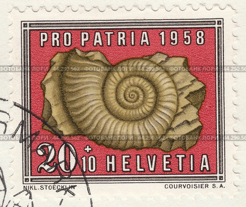 Вымершие моллюски. Аммониты ((Orthosphinctes laufenensis). Почтовая марка Швейцарии 1958 года. Редакционная иллюстрация, иллюстратор александр афанасьев / Фотобанк Лори