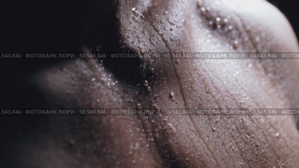 Water Droplets Trailing Down Male Torso Under Backlight. Стоковое видео, видеограф Илья Шаматура / Фотобанк Лори