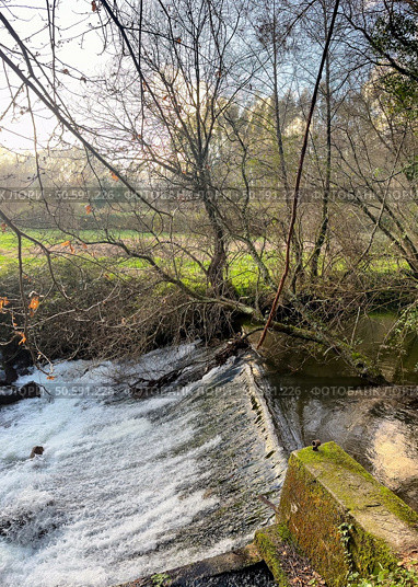 Water flows over a small dam into a calm river near Cascata do Outeiro. Bare trees and greenery line the banks, creating a peaceful scene in Oliveira de Azemeis. Стоковое фото, агентство Ingram Publishing / Фотобанк Лори