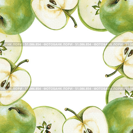 Watercolor square frame made of green Granny Smith apples. Handmade illustration, highlighted on a white background. Autumn fruit template for menus, invitations and business cards. Стоковая иллюстрация, иллюстратор Беляева Елена / Фотобанк Лори
