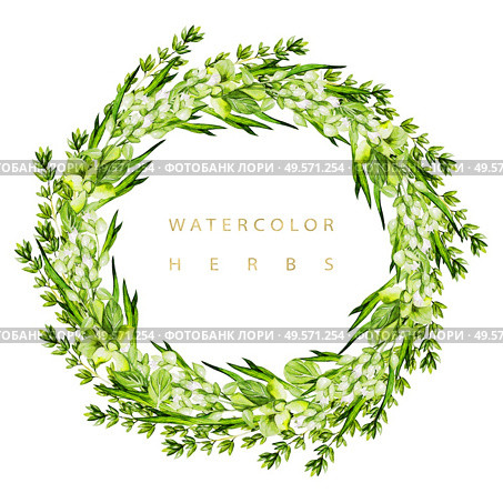 Watercolor wreath with herbs and microgreen. Illustration. Watercolor wreath with herbs and microgreen. . Стоковое фото, агентство Ingram Publishing / Фотобанк Лори