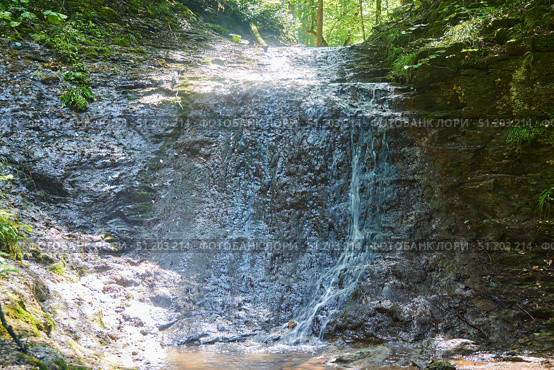 Waterfall in a dense forest, water pours over a rock. Стоковое фото, фотограф Наталия Кирсанова / Фотобанк Лори