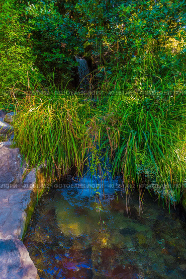 Waterfall of "Tears" in the Vorontsovsky Park. Стоковое фото, фотограф Анна Кривицкая / Фотобанк Лори