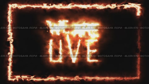 We are LIve text written with fire LiveStreaming conception background. Стоковая анимация, аниматор Mihail Mihaylov / Фотобанк Лори