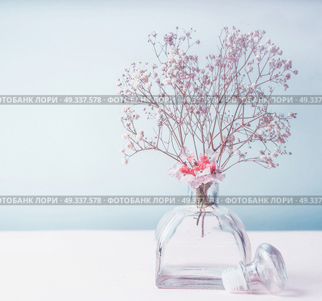 Wellness or aromatherapy concept. Glass jar diffuser  with flowers at pastel color background, top view. Aromatic spa set. Стоковое фото, агентство Ingram Publishing / Фотобанк Лори