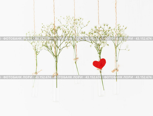 White flowers in glass mini vases hanging. Concept of Valentine's Day, wedding celebration. Стоковое фото, фотограф Natalia Gdovskaia / Фотобанк Лори