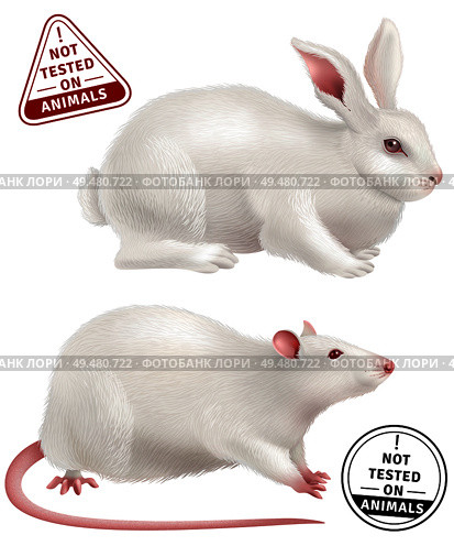 White rabbit and rat realistic icons and stamps with text not tested on animals vector illustration . Not Tested On Animals Realistic Icons. Стоковая иллюстрация, агентство Ingram Publishing / Фотобанк Лори
