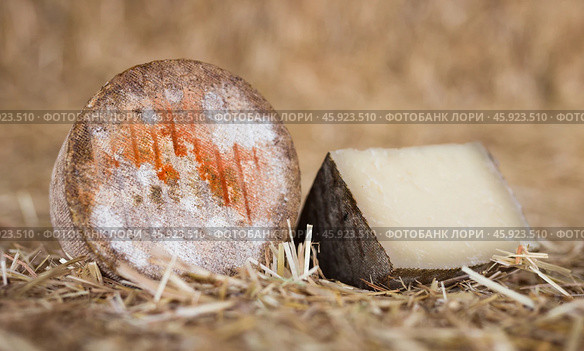 whole head of ripe country cheese and slices on hay. Стоковое фото, фотограф Татьяна Яцевич / Фотобанк Лори
