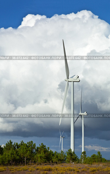 Wind farm against a blue sky with a cumulus cloud on a sunny summer day. Alternative energy sources. Algarve, Portugal, Europe (2012 год). Стоковое фото, фотограф Виктория Катьянова / Фотобанк Лори